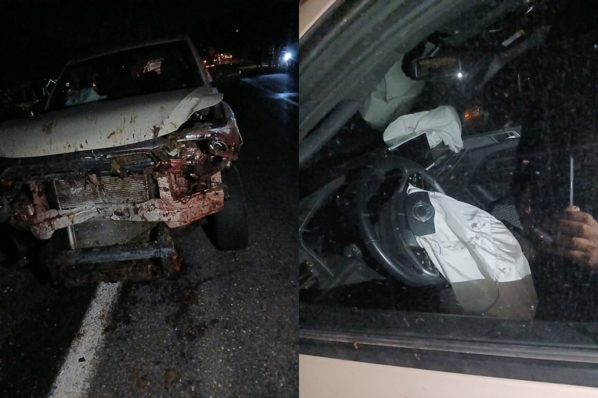 Araç koyun sürüsüne daldı 30 hayvan telef oldu