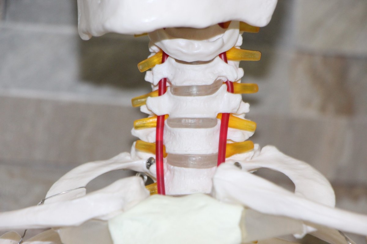 Fizyoterapist Ateş: Boyun fıtığında tedavi gecikmesi kalıcı hasarlara yol açabiliyor