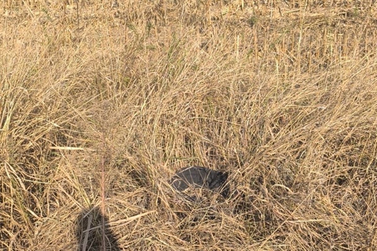 Batman-Bismil yolunda tırtıklı asfalt sürücüleri mağdur ediyor