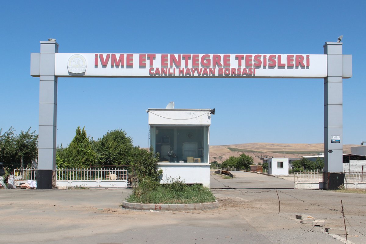 Batman'da hayvan pazarı yeniden açıldı