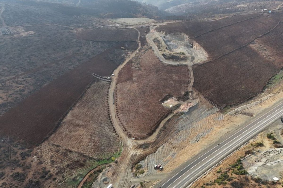 Bursa'da 3 milyon fidan toprakla buluşacak