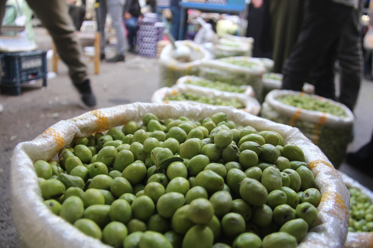 Kahvaltı sofralarının vazgeçilmezi yeşil zeytinde fiyatlar bir önceki günü aratıyor