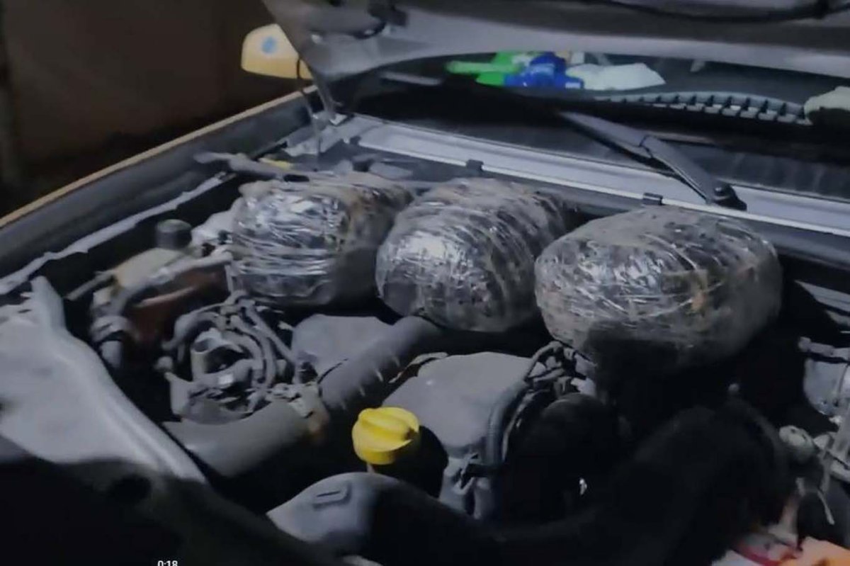 Ağrı'da uyuşturucu operasyonu: 3 kilogram skunk ele geçirildi