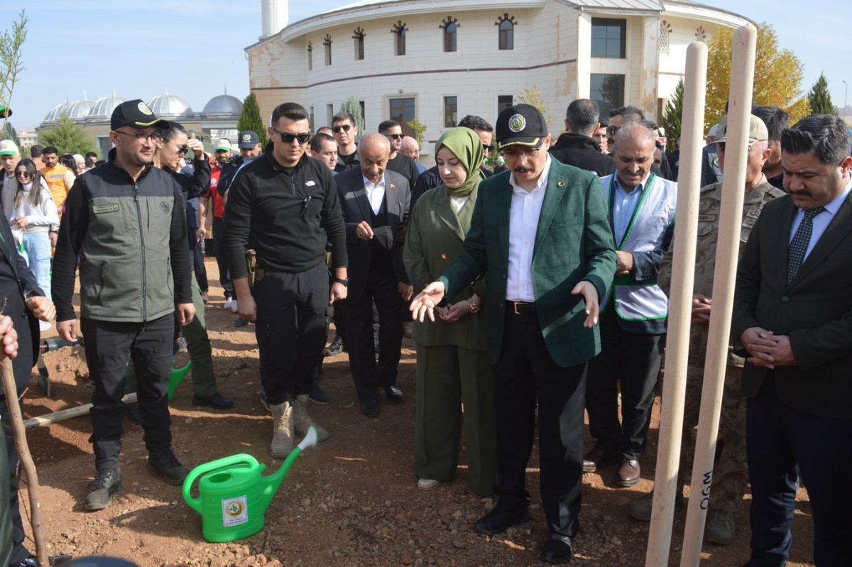 Siirt’te 11 Kasım Milli Ağaçlandırma Günü’nde fidanlar toprakla buluşturuldu