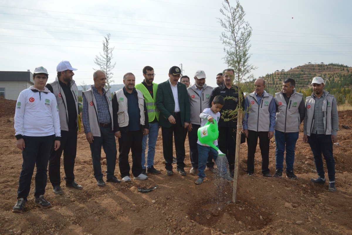 Siirt’te 11 Kasım Milli Ağaçlandırma Günü’nde fidanlar toprakla buluşturuldu