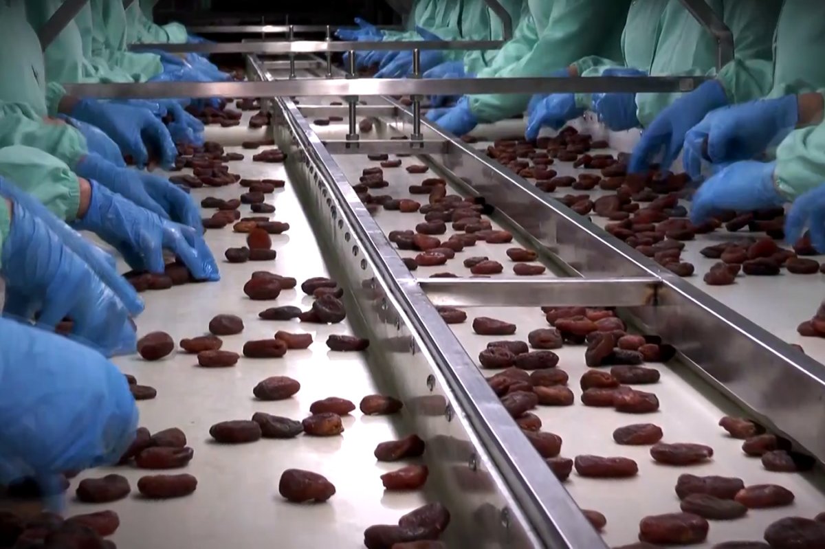 Malatya kayısısında ihracat 10 ayda 41 bin tonu geçti