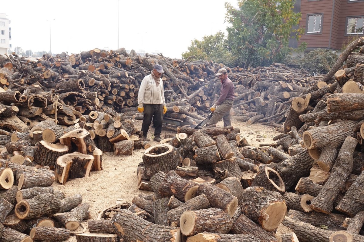 Yağışsız hava odun satıcılarını vurdu
