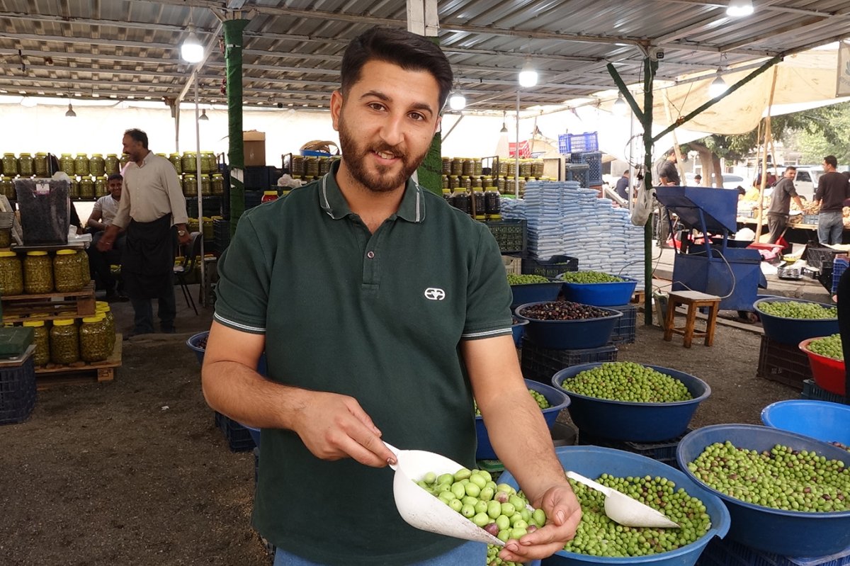 Yeni mahsul zeytin sezonu açıldı