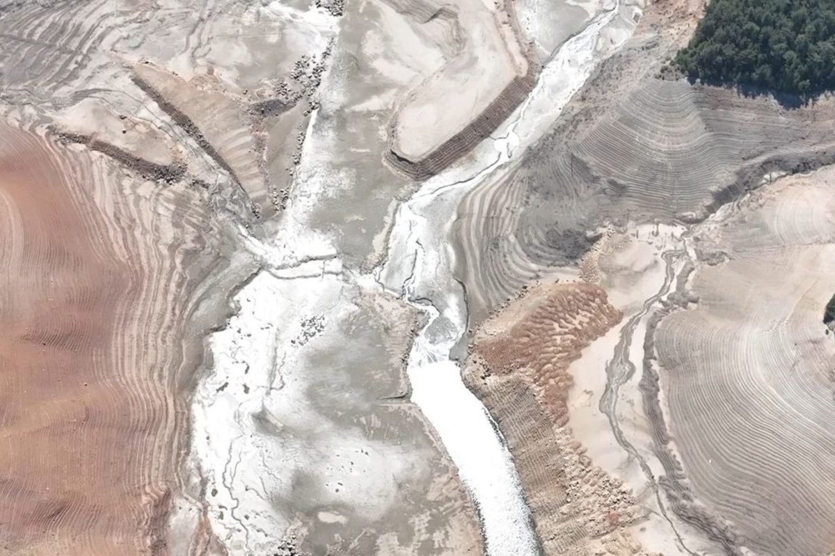 ZMO Başkanı Çakmak: Kuraklık ve azalan su kaynakları tarımı tehlikeye atıyor