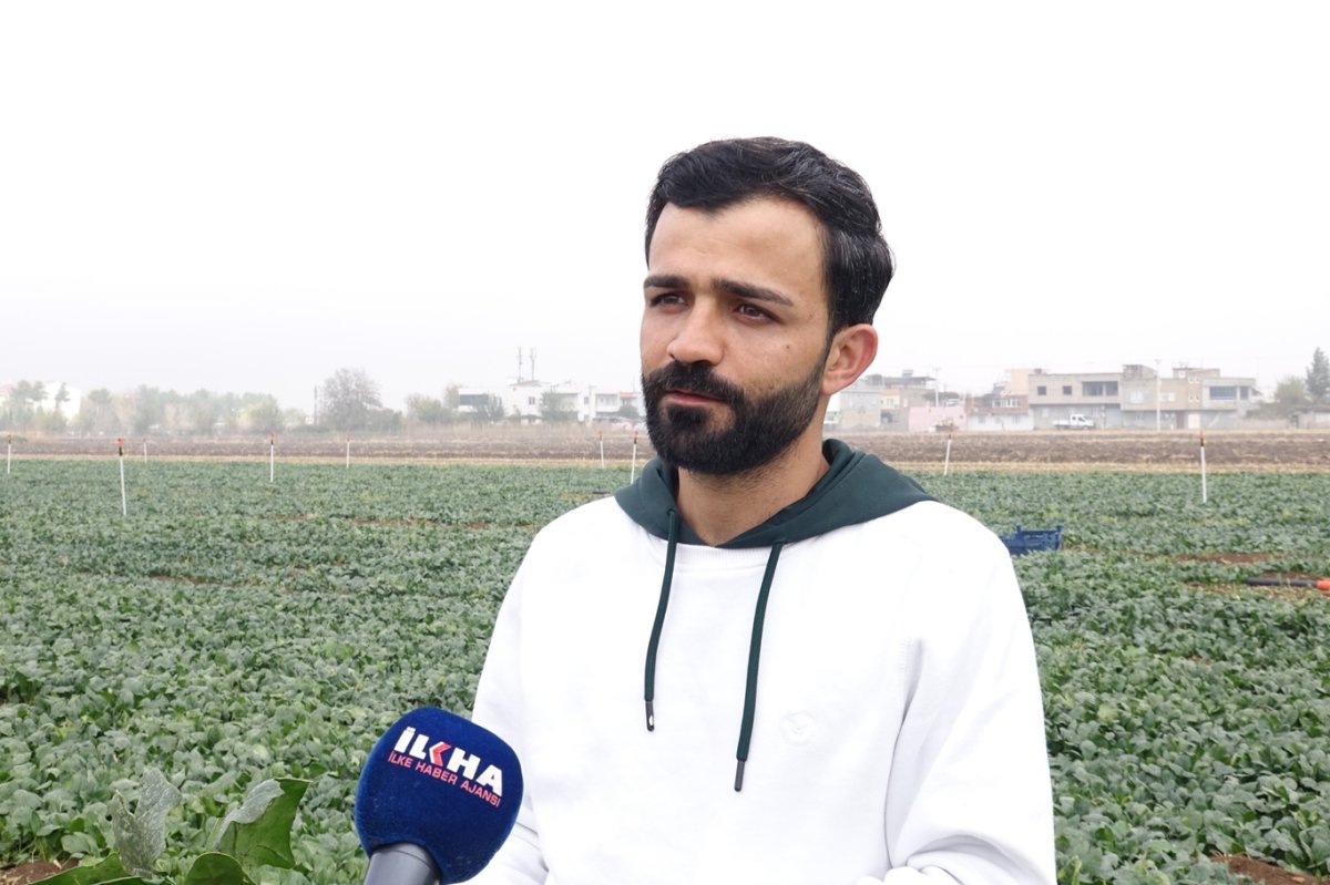 Ani dolu yağışı tarım alanlarında büyük zarara yol açtı, çiftçi destek bekliyor