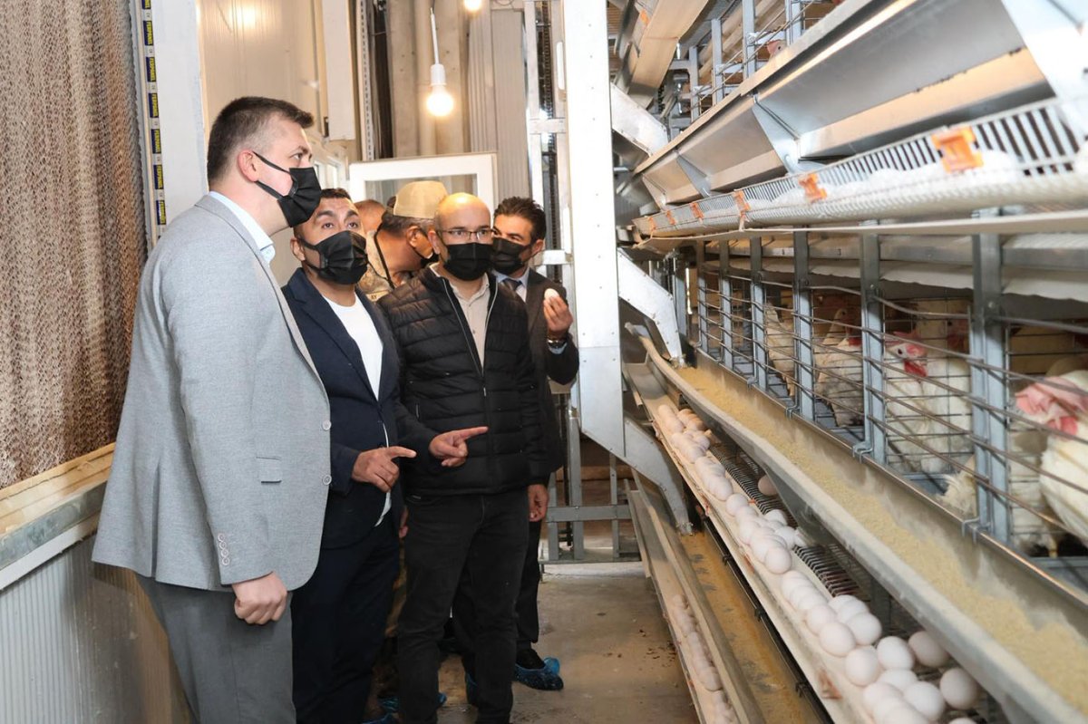 Avrupa standartlarında yumurta üretim tesisi kuruldu