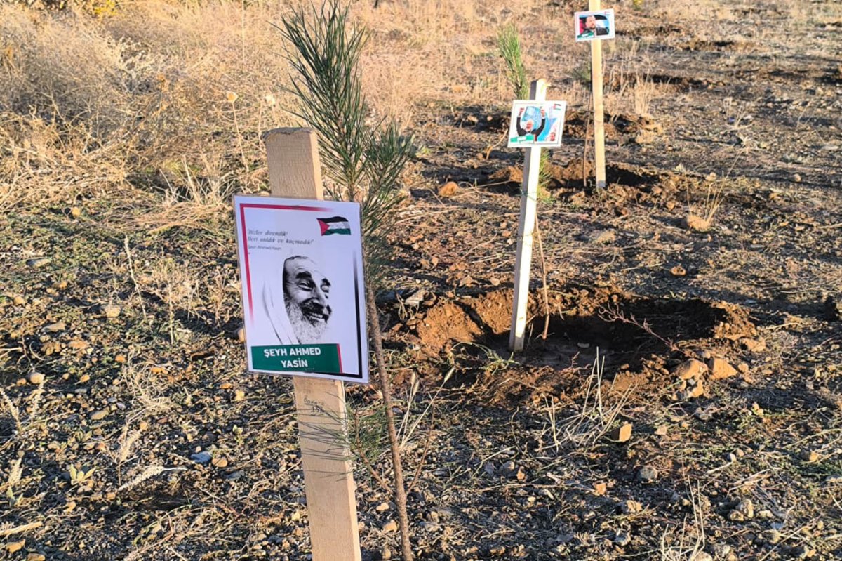 Bingöl Üniversitesi öğrencileri, Filistin için oluşturdukları hatıra ormanındaki fidanların bakımını yaptı