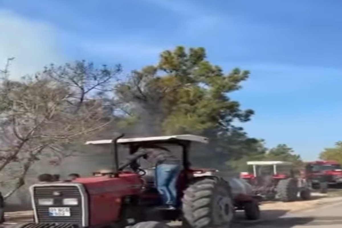 Adana Sarıçam’da orman yangını