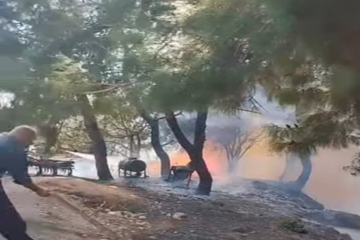 Adana Sarıçam’da orman yangını