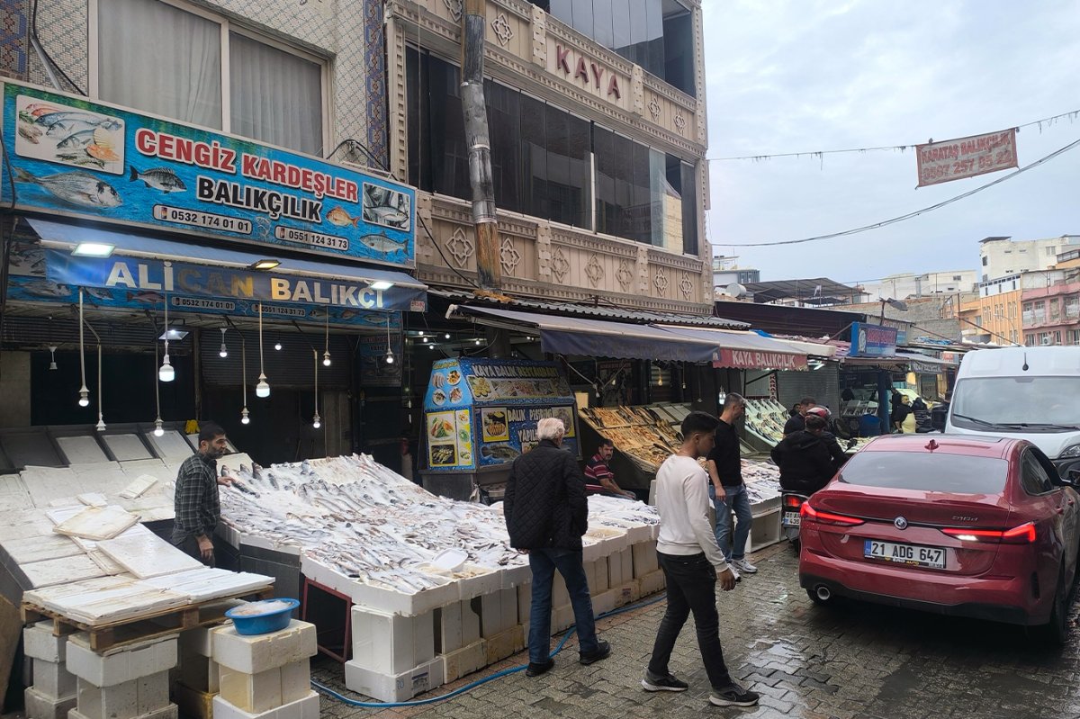 Adanalı balıkçı esnafı: Balık fiyatları uygun, bol bol taze balık tüketin