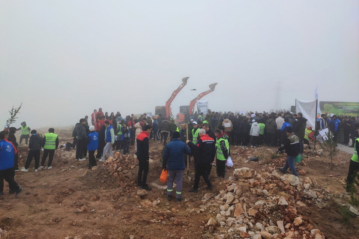 Malatya Beydağı'nda ağaçlandırma seferberliği