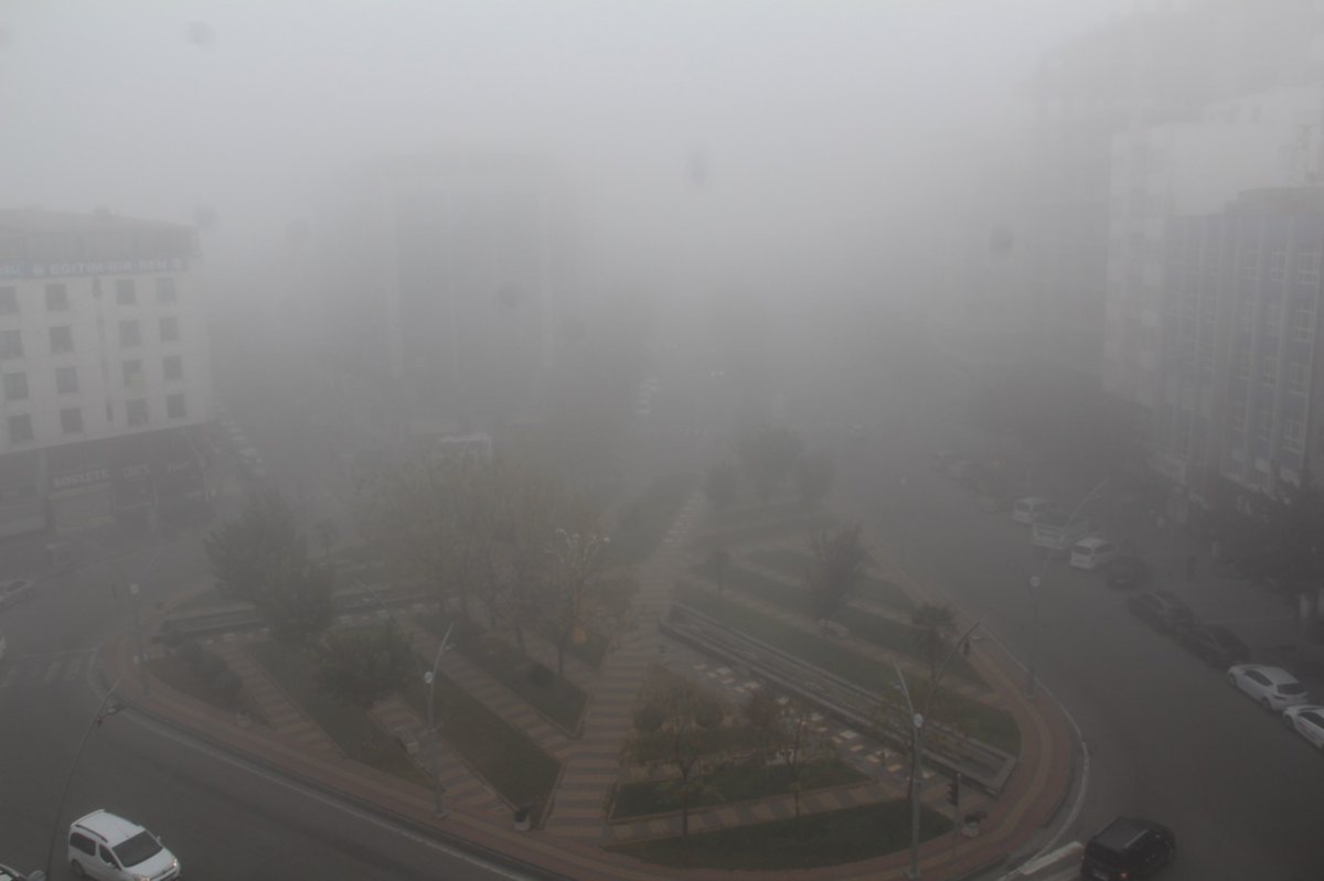 Sürüş eğitmenleri: Sisli havalarda acele etmeyin, mesafenizi koruyun