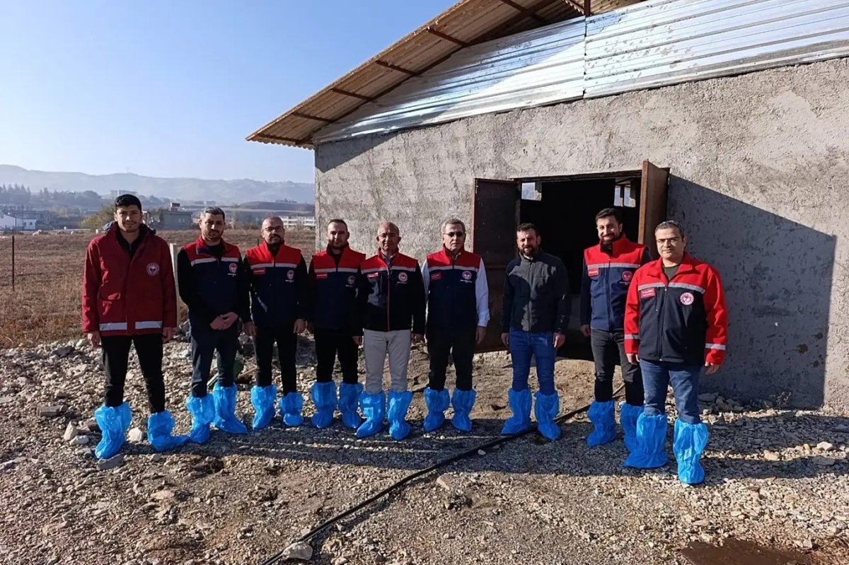 Siirt’te üreticiye destek amaçlı 48 angus gebe düve teslim edildi