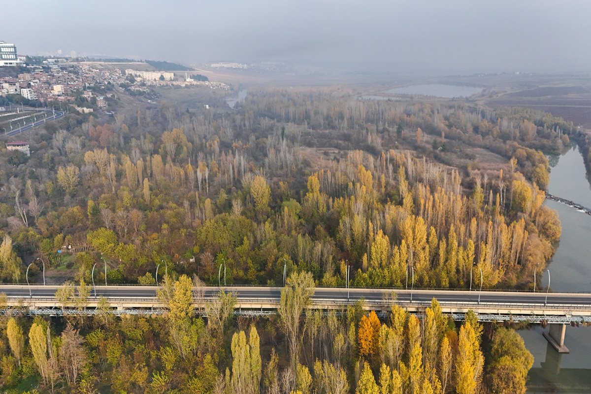 Diyarbakır'da sonbahar renkleri şehri süsledi