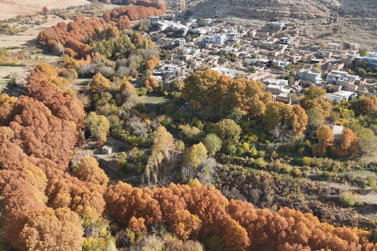 Mardin’in saklı cenneti Yardere Şelalesi’nden sonbaharda kartpostallık görüntüler