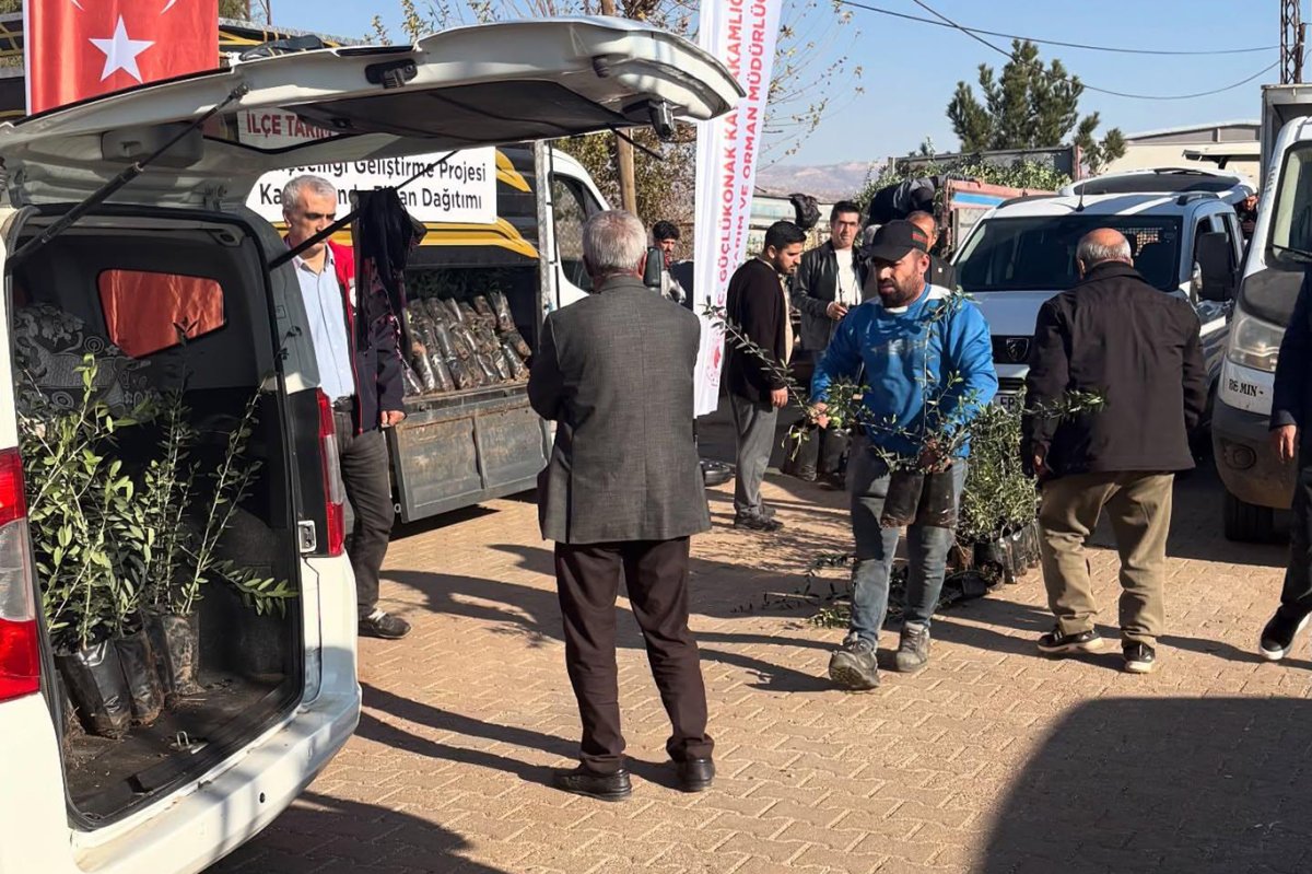 Şırnak’ta çiftçilere 4 bin zeytin fidanı dağıtıldı