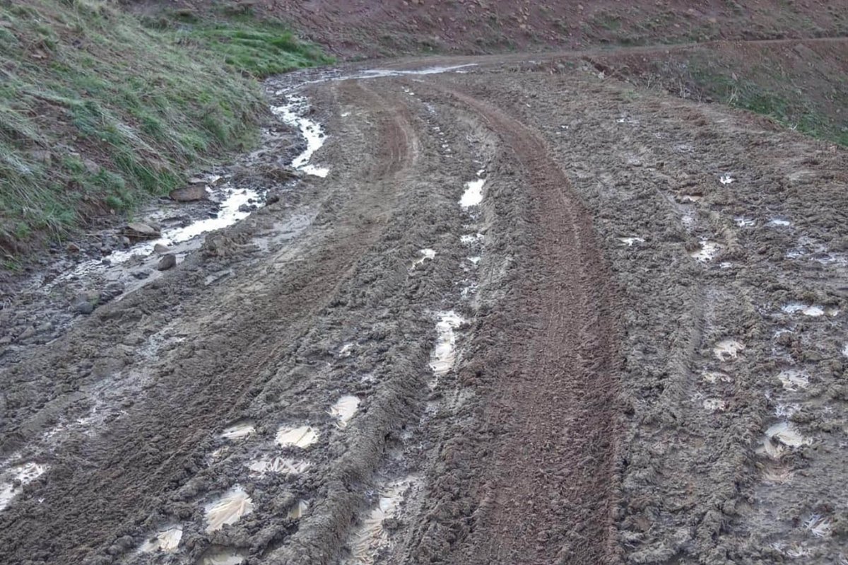Bingöl’de 30 haneli mahalle her kış göç etmek zorunda kalıyor