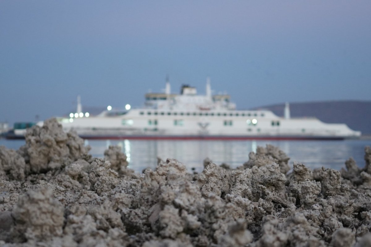 Van Gölü’nde sular çekildi, mikrobiyolitler ortaya çıktı