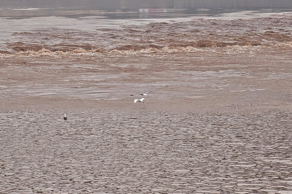 Şırnak Cizre’de Dicle Nehri kızıla boyandı: İlçeye su verilmeyecek