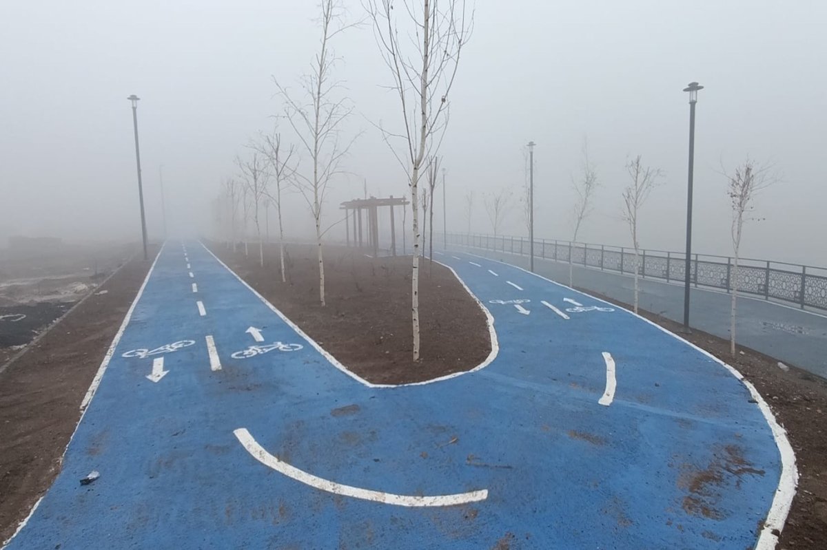 Ağrı'da yoğun sis görüş mesafesini düşürdü