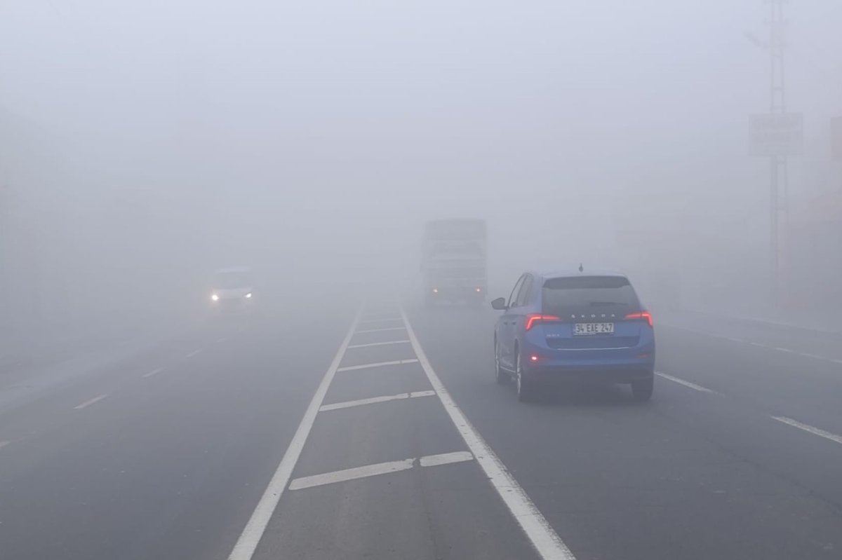 Ağrı'da yoğun sis görüş mesafesini düşürdü