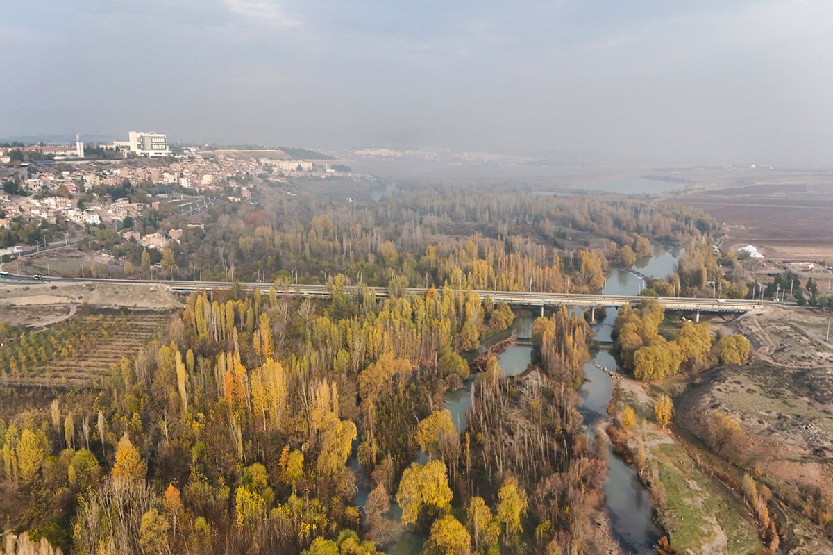Diyarbakır'da sonbahar renkleri şehri süsledi