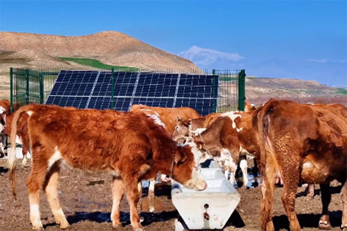 Batman'da serçe parmak projesi 40 köye hayat verdi