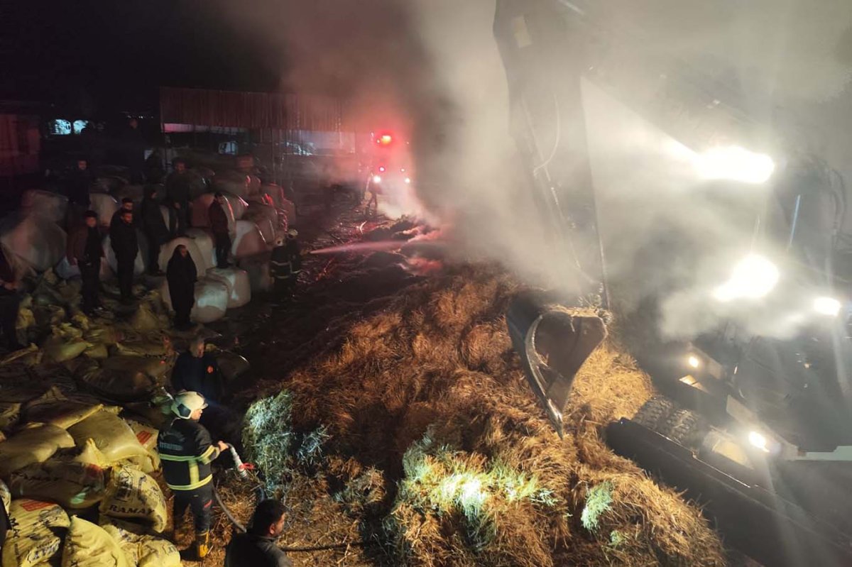 Şanlıurfa’da hayvan çiftliğinde yangın