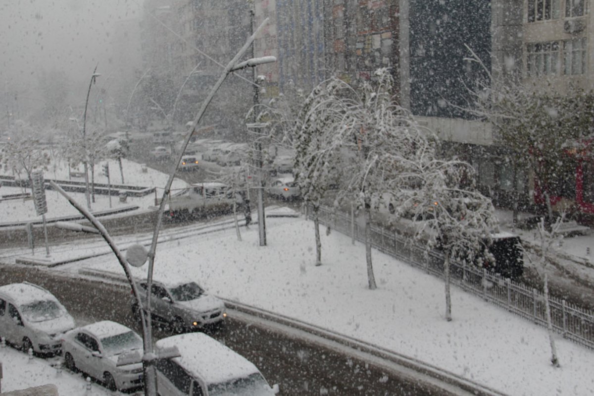 Batman'da resmî ve özel eğitim kurumları tatil edildi