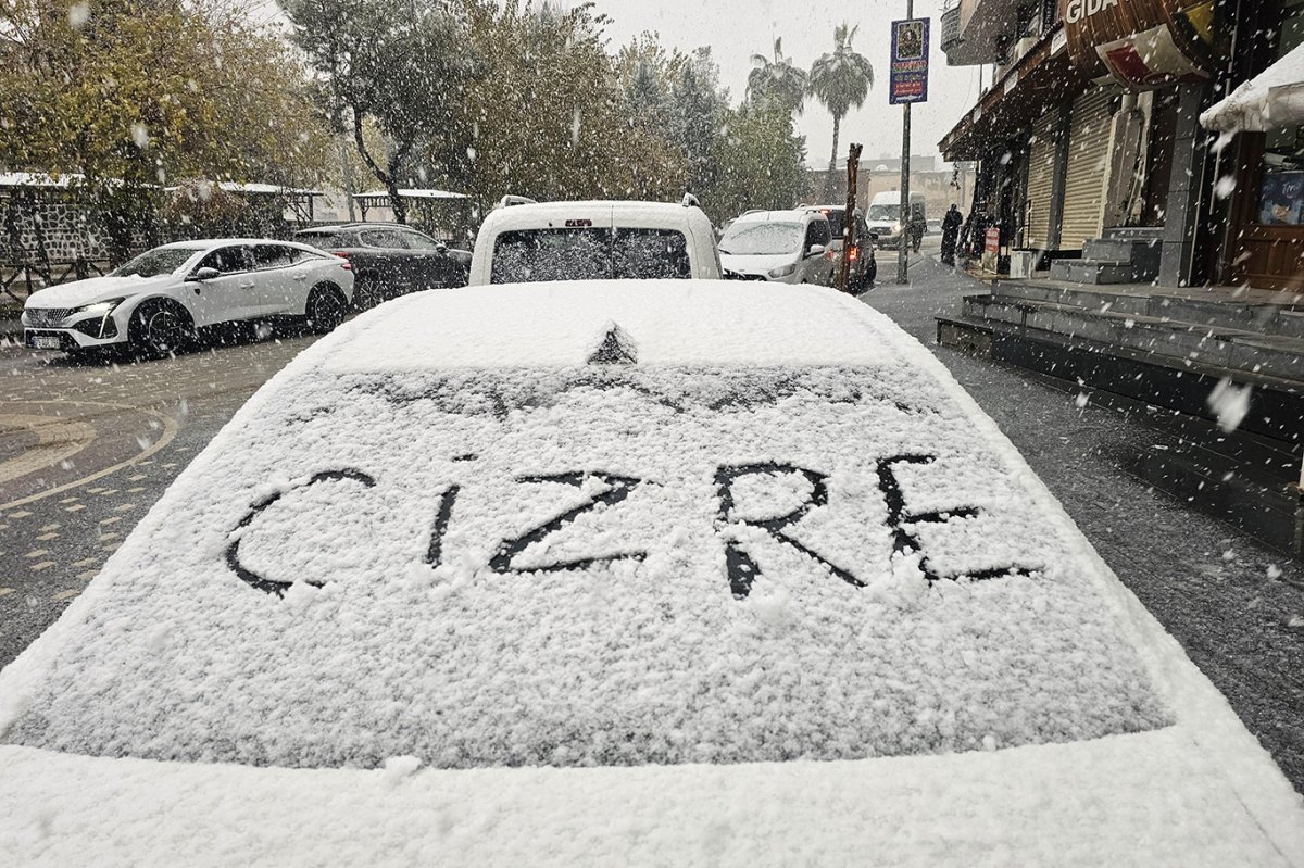 Cizre'de kar yağışı sevinçle karşılandı