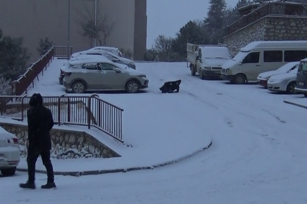 Prof. Dr. Sevimli'den kış aylarında düşme ve kırıklara karşı hayati uyarılar