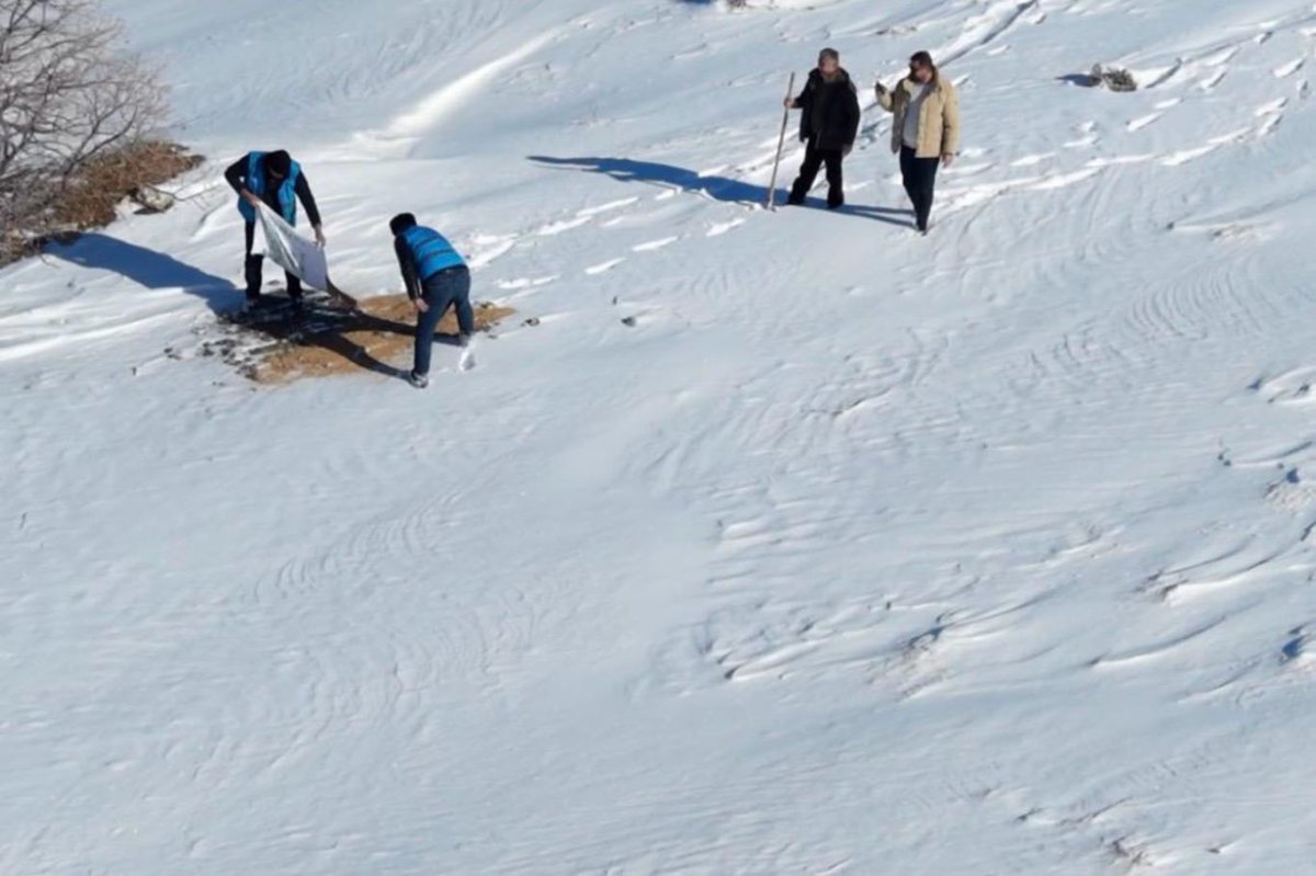 Batman'da yaban hayvanları için doğaya yem bırakıldı