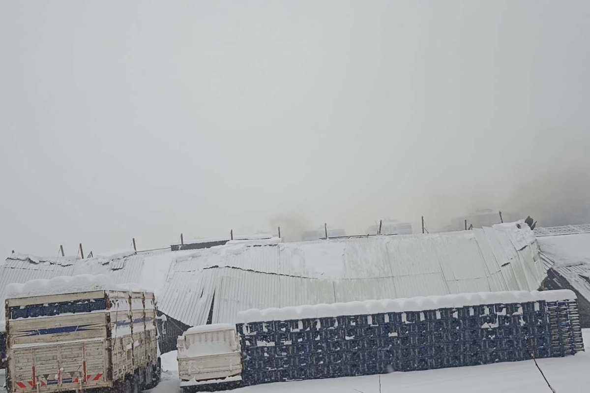 Diyarbakır'da yoğun kar etkili oldu: Çatılar araçların üzerine çöktü