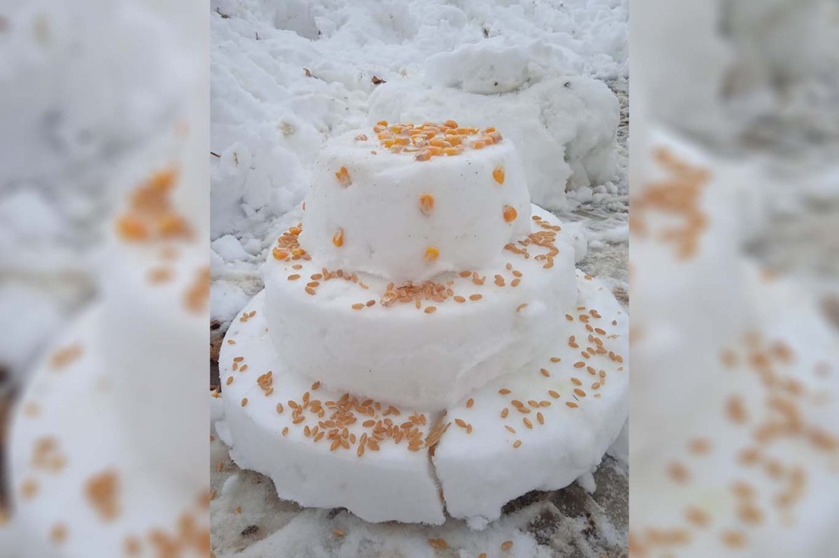 Şanlıurfa beyaza büründü: Kar, tarihi evlerin dam boyuna ulaştı