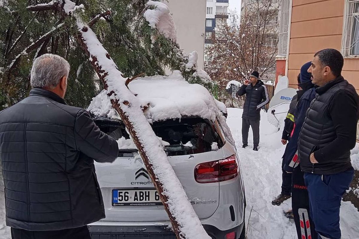 Siirt’te kar tehlikesi: Çam ağacı otomobilin üzerine devrildi