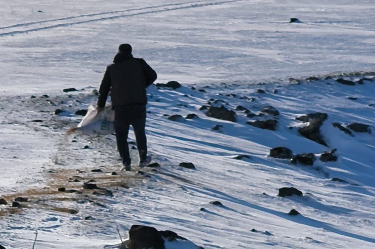 Batman'da doğaya tonlarca yem bırakıldı