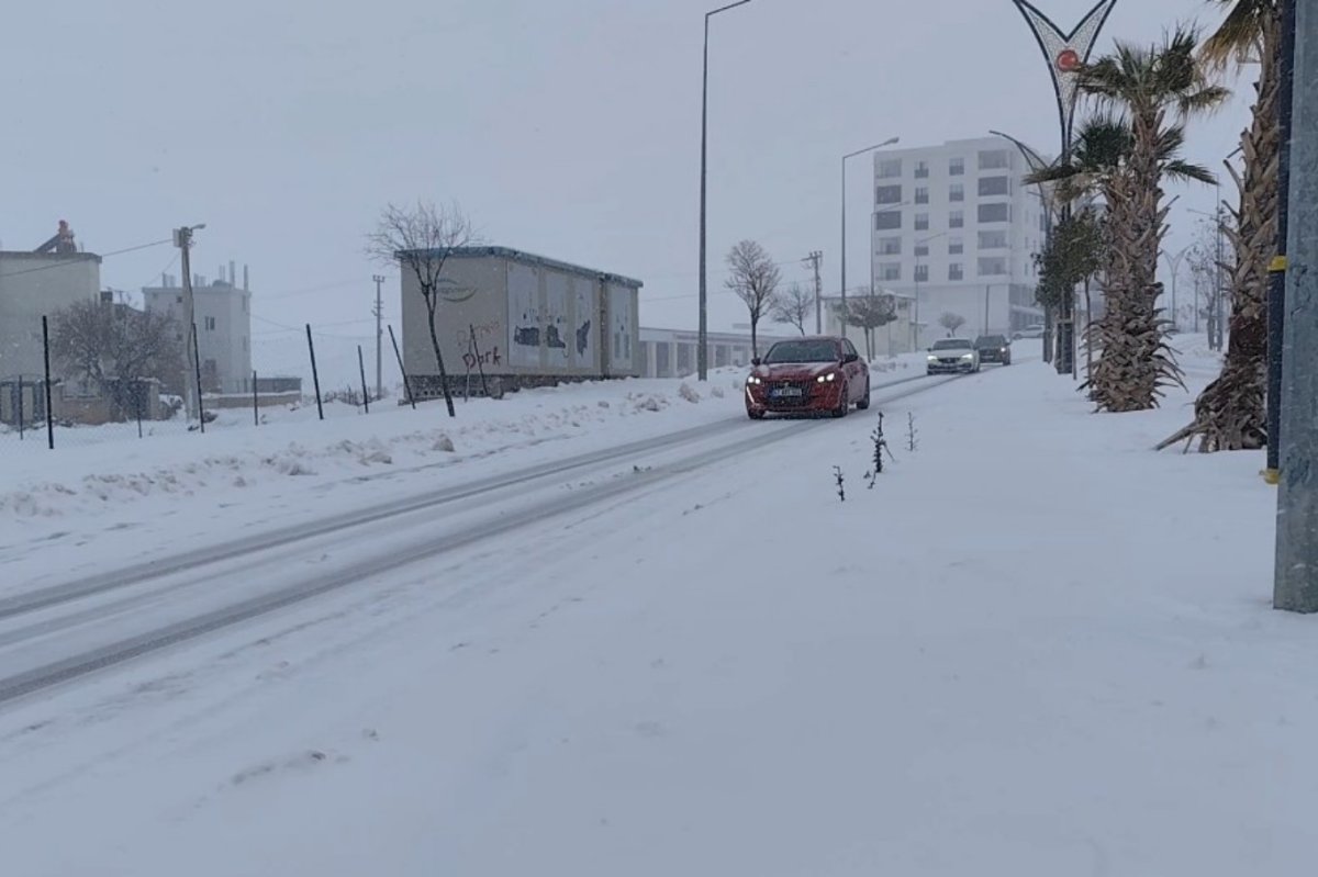 Öter: Son 10 yılın en verimli kar yağışı Mardin Ovası’na can suyu oldu