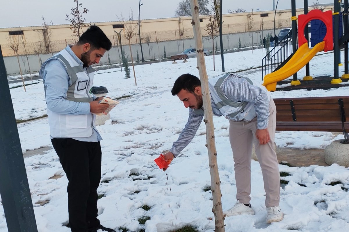 HÜDA PAR Batman Gençlik Kolları sokak hayvanlarını unutmadı