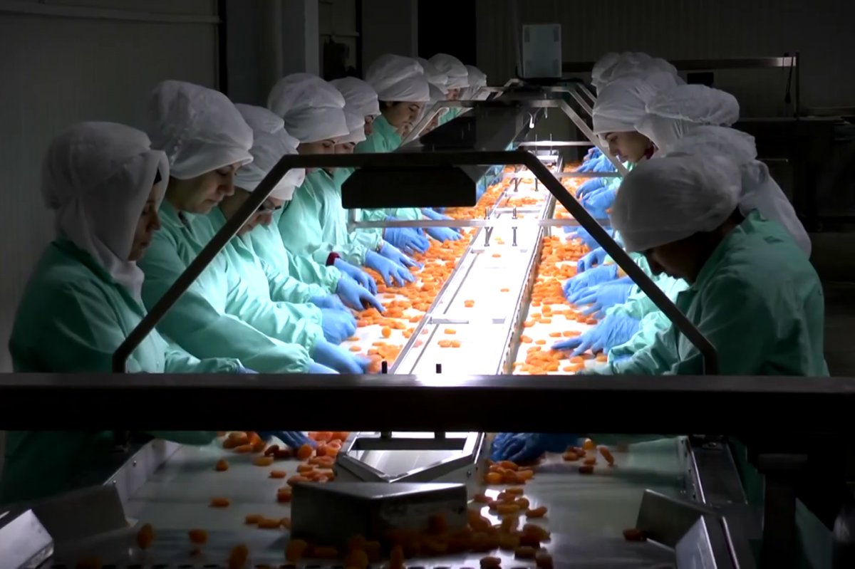 MTB Başkanı Özcan: 2025 yılında 47 bin 699 ton kuru kayısı ihracatı gerçekleştirdik