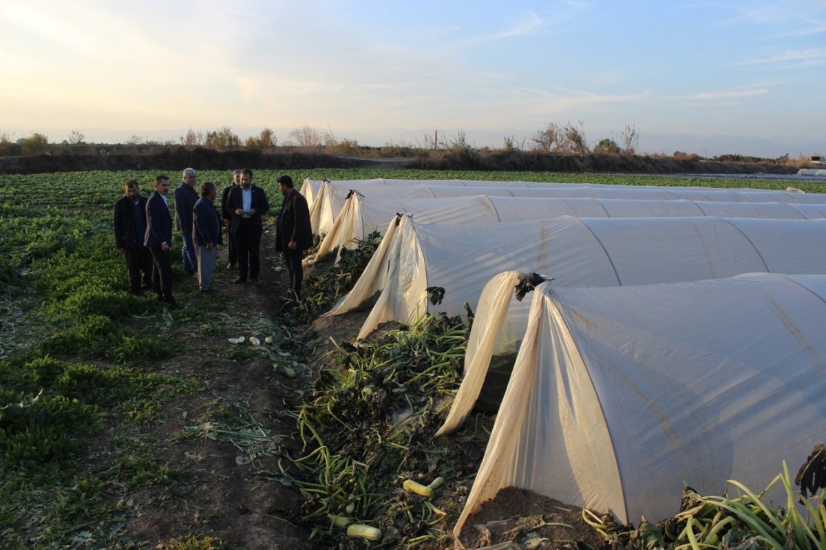 Don felaketi Tarsus’ta çiftçiyi vurdu: Yüzde 100 zarar var
