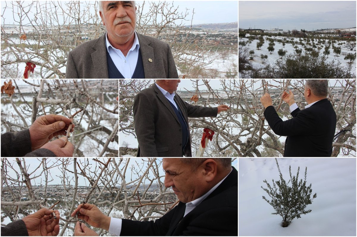 Gaziantep Şehitkamil Ziraat Odası Başkanı Yiğit: Kar yağışı çiftçi için rahmet oldu