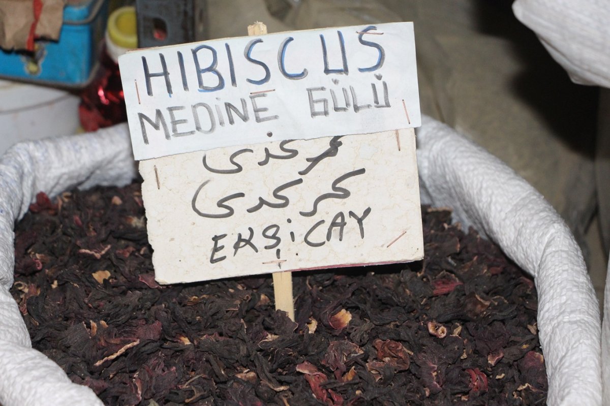 Aktar Yağmurcu: Şifalı bitkiler mevsimsel hastalıklara karşı bağışıklık sistemini güçlendirir