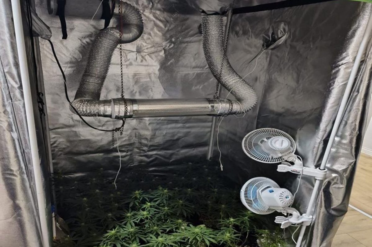 Bursa'da uyuşturucu düzeneği ele geçirildi: 1 gözaltı