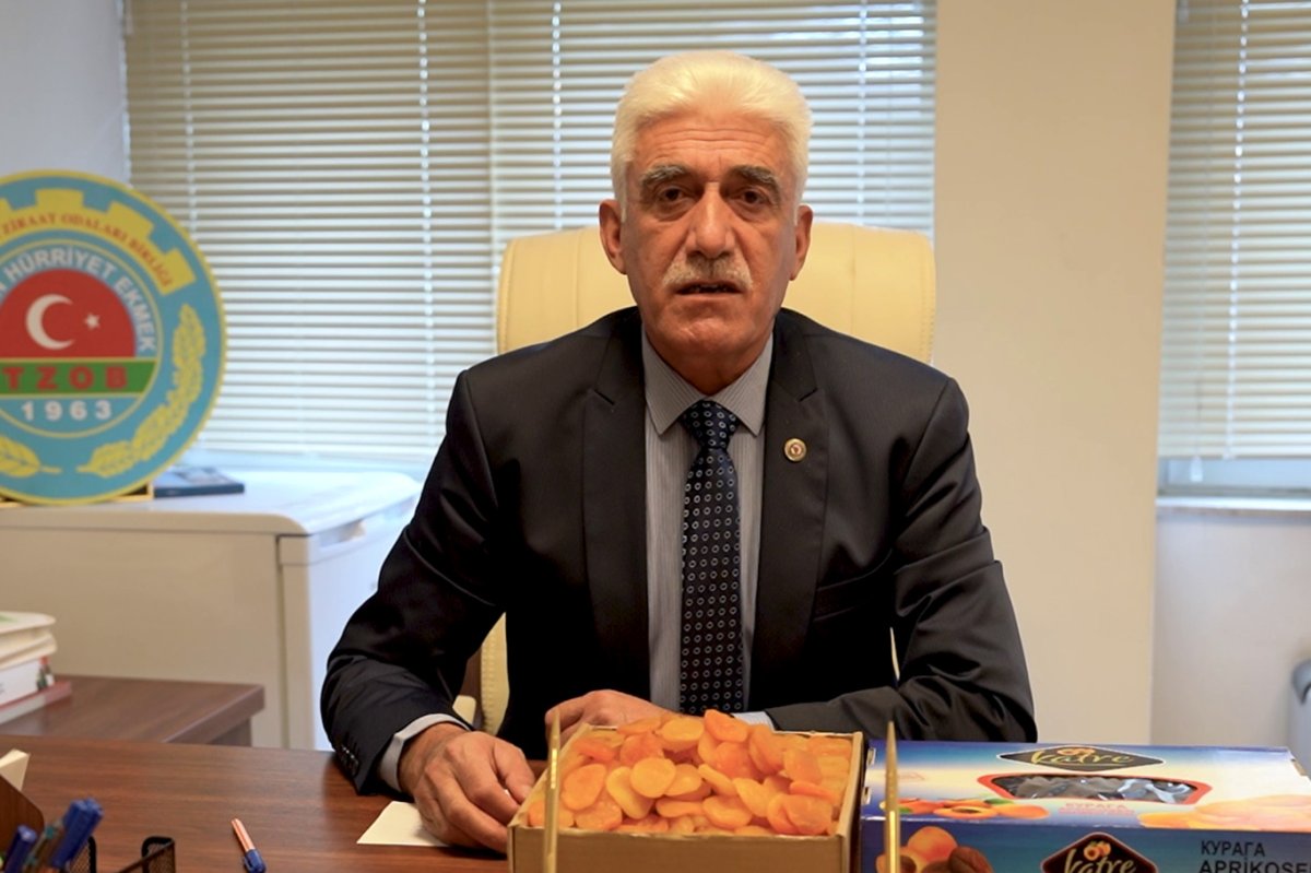 TZOB Yönetim Kurulu Üyesi Kılınç: Kaçak yollarla Türkiye'ye sokulan kayısılar Malatya üreticisini bitiriyor