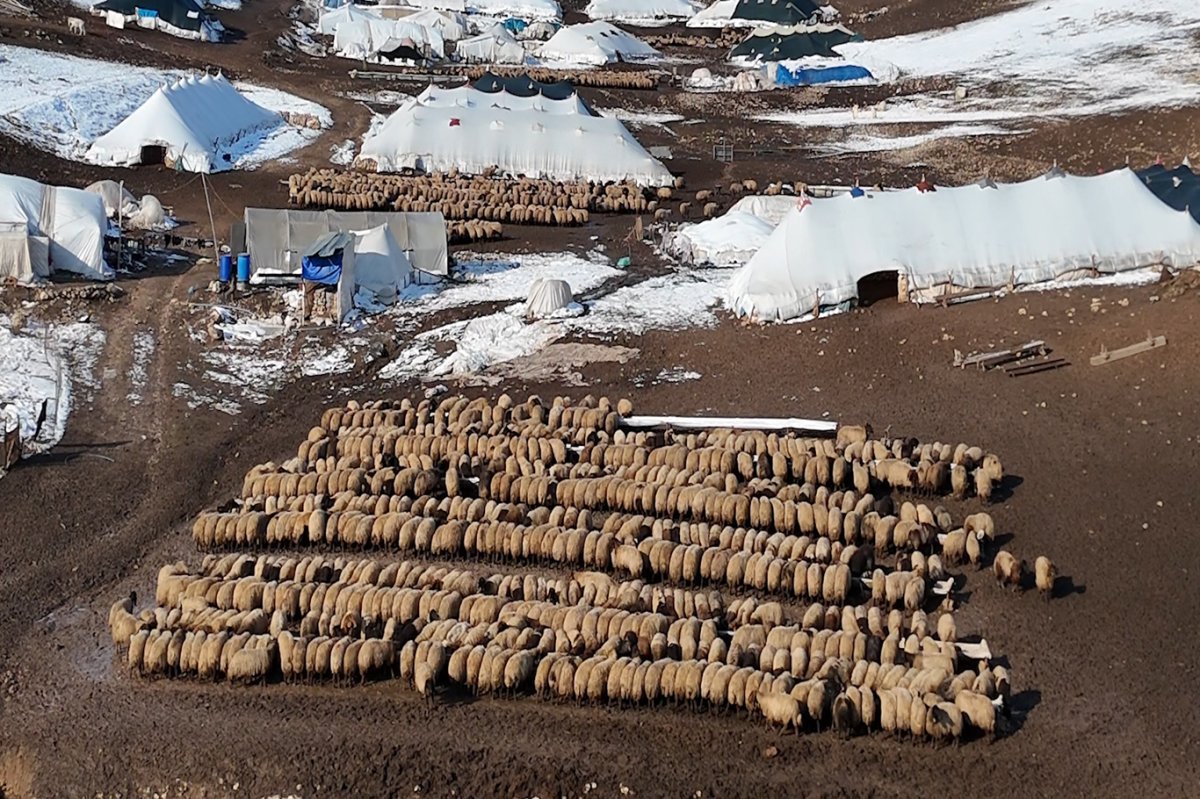 Göçerlerin zorlu kış şartlarındaki yaşam mücadelesi